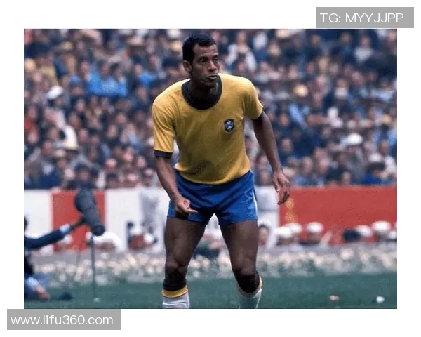 巴西足球传奇球星盘点与他们的辉煌成就回顾 巴西足球传奇球星盘点与他们的辉煌成就回顾