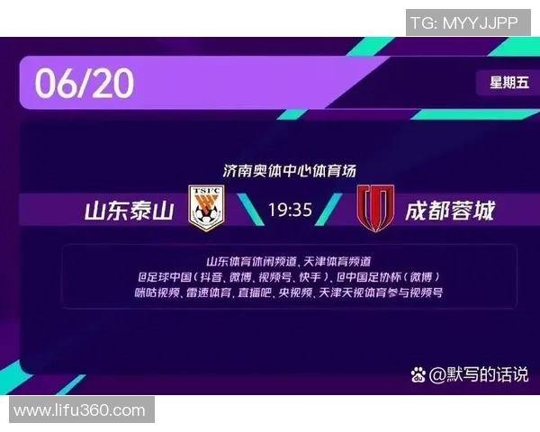 成都足球队在锦标赛中的战术分析与表现评估