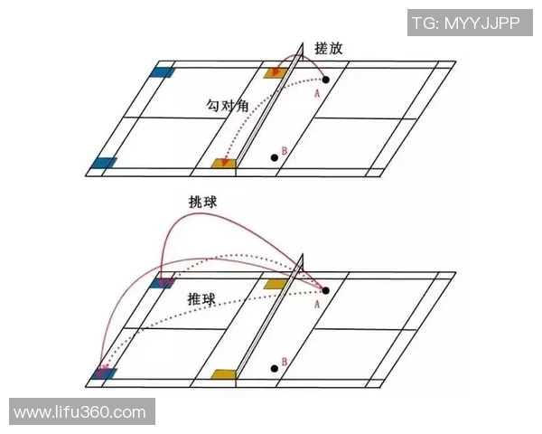 西安羽毛球队在冠军赛中的战术运用与表现分析 西安羽毛球队在冠军赛中的战术运用与表现分析