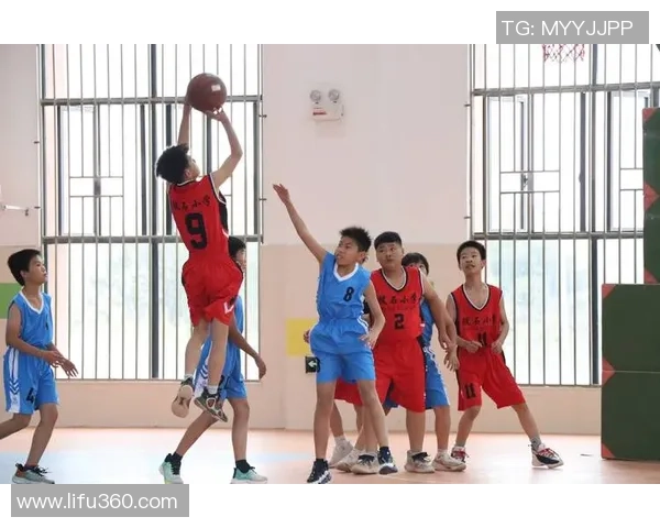 吴伟独家分享篮球心得与技巧助你提升球技的秘密武器